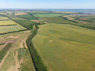 Green fields sown with wheat. Top aerial view made by drone © ovbelov1972