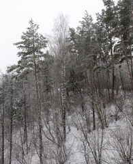 Snow drifts in winter