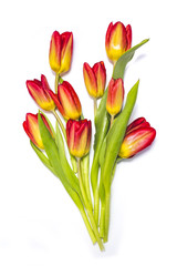 Tulips bouquet on white background