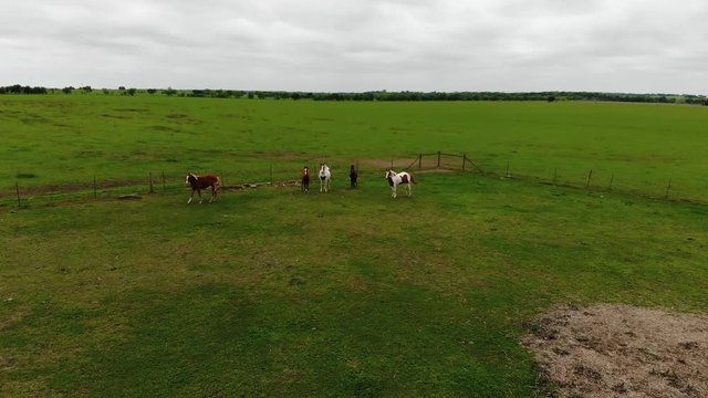 The drone hovers near a herd of horses on green graassland. This is an aerial shot of farmland in Waco, Texas.