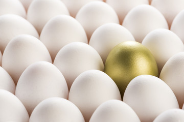 金の卵と普通の卵