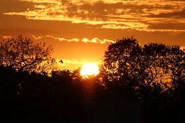 Puesta de Sol