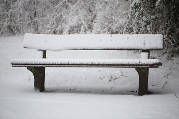Bench alone in winter