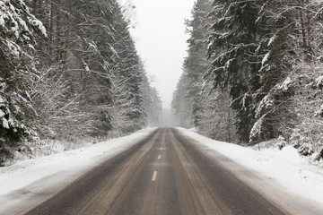 Obraz premium After snowfall