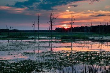 Red Sky over Pond © David Halgrimson