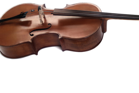 Cello orchestra musical instrument