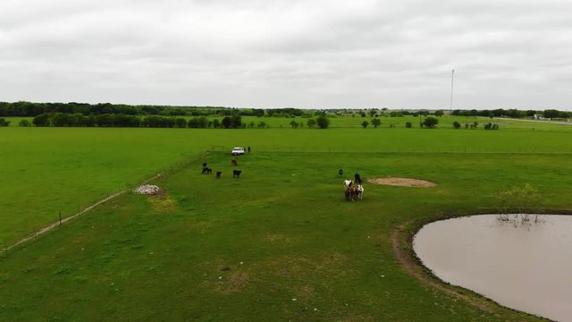 The drone flies with high speed in the direction of a herd of horses. The drone flies near a small pond and over green grassland.