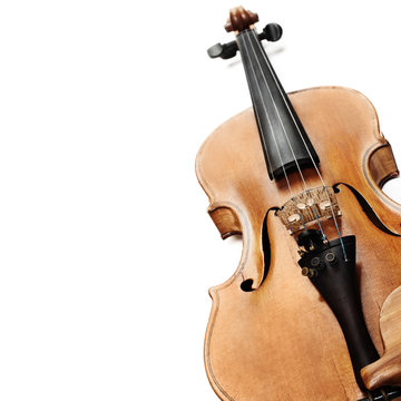Violin isolated on white closeup