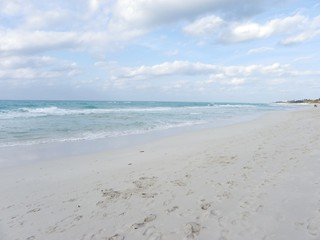 Paradise beach on a sunny day