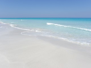 Paradise beach on a sunny day
