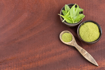 Natural sweetener in powder from stevia plant - Stevia rebaudiana
