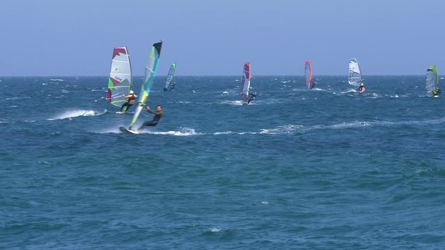 Group of windsurfers sail back a forth over choppy sea.