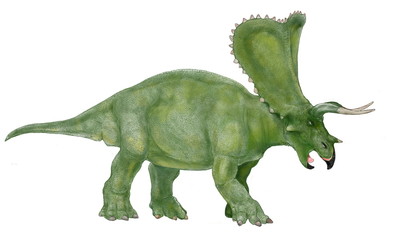 トロサウルスは現在、トリケラトプスの老成体として再考されている。トリケラトプスには様々な個体変異があり、それぞれに独自の小種名が付けられているが、単独にトロサウルスという学名をもったこの恐竜は老成し、周蝕頭部が発達したトリケラトプスの最終の形態ではないかとの学説を指示している。これを表明したイラストであり、ベースはオリジナルのトリケラトプスのイラストである。