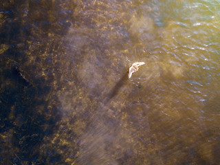 top overhead viea of young man enjoying sea water on the beach, standing on summer day