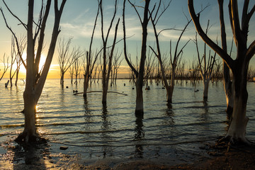 Beautiful sunset in the flooded city of Epecuen.