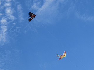 two colored kites in the sky with white clouds