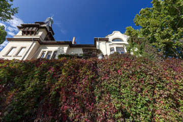 The picture was taken in a Budapest park, near which I inhabited it, in autumn.