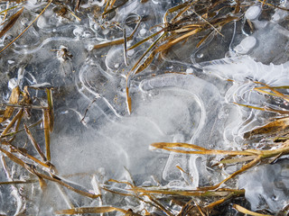 The ice on the puddle. The grass under the ice. The ice on the water in early spring.