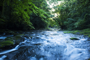 Obraz premium 菊池渓谷