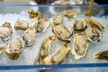 Fresh oysters on ice