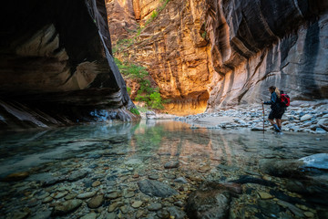 Young Female Hiking Through the Narrows, Zion National Park - USA - obrazy, fototapety, plakaty
