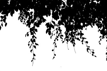 darktone treetop isolated on white background