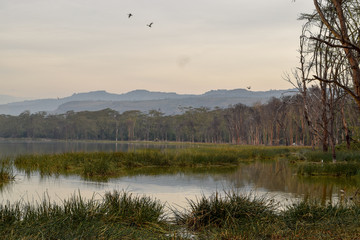 A beautiful sunset at Lake Elementaita, Naivasha