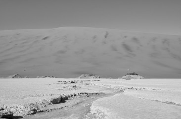 Dead Vlei Landscape