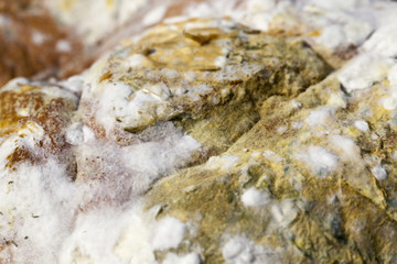 unhygienic bread loaf