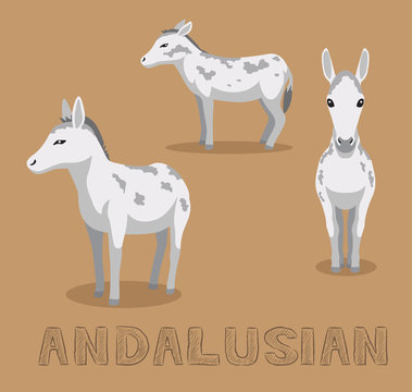 Donkey Andalusian Cartoon Vector Illustration