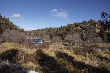 Dry grass along the Crooked River