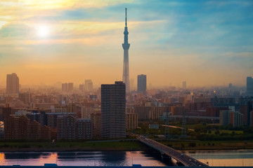 Scenic view of the city of tokyo, the capital city of Japan in twilight