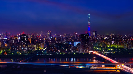 Fototapeta na wymiar Scenic view of the city of tokyo, the capital city of Japan in twilight