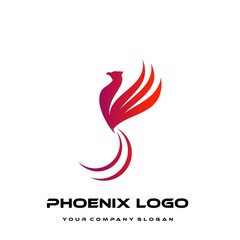 bird logo template