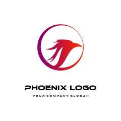 bird logo template