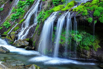 Fototapeta na wymiar 新緑の吐竜の滝