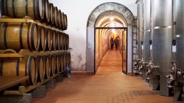 Wine cellar with large wooden and steel barrels, which are located near the walls. In the corridor of the cellar there is a group of people who came to the wine tasting and cheese.