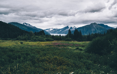 Obraz premium Wild Alaska