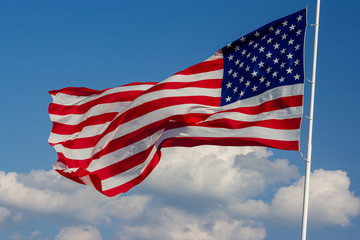 United States of America Flag 