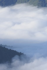 Thick Clouds at the Base of the Bailey Range, Olympic National Park, Washington
