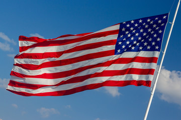 Obraz premium United States of America Flag 