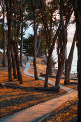 Jogger running on a winding road