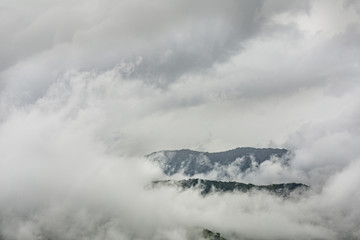 Morning landscape view.