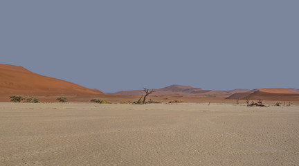 Dead Vlei Landscape