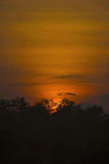 Fototapeta na wymiar Sunset at Telia lake of Tadoba Tiger Reserve, Tadoba Tiger Reserve, Maharashtra, India