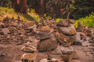 A tranquil forest rock garden