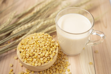 Glass of soy bean milk views from top with split soy bean on barley wheat and wooden background