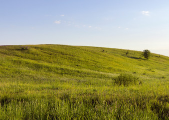 Fototapeta na wymiar green grass hill