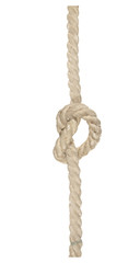 Thick white rope tied with knot isolated on white background.