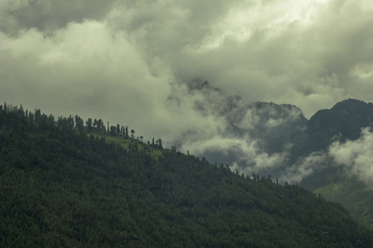 heavy cloud and fog in the mountains forest © Pavel